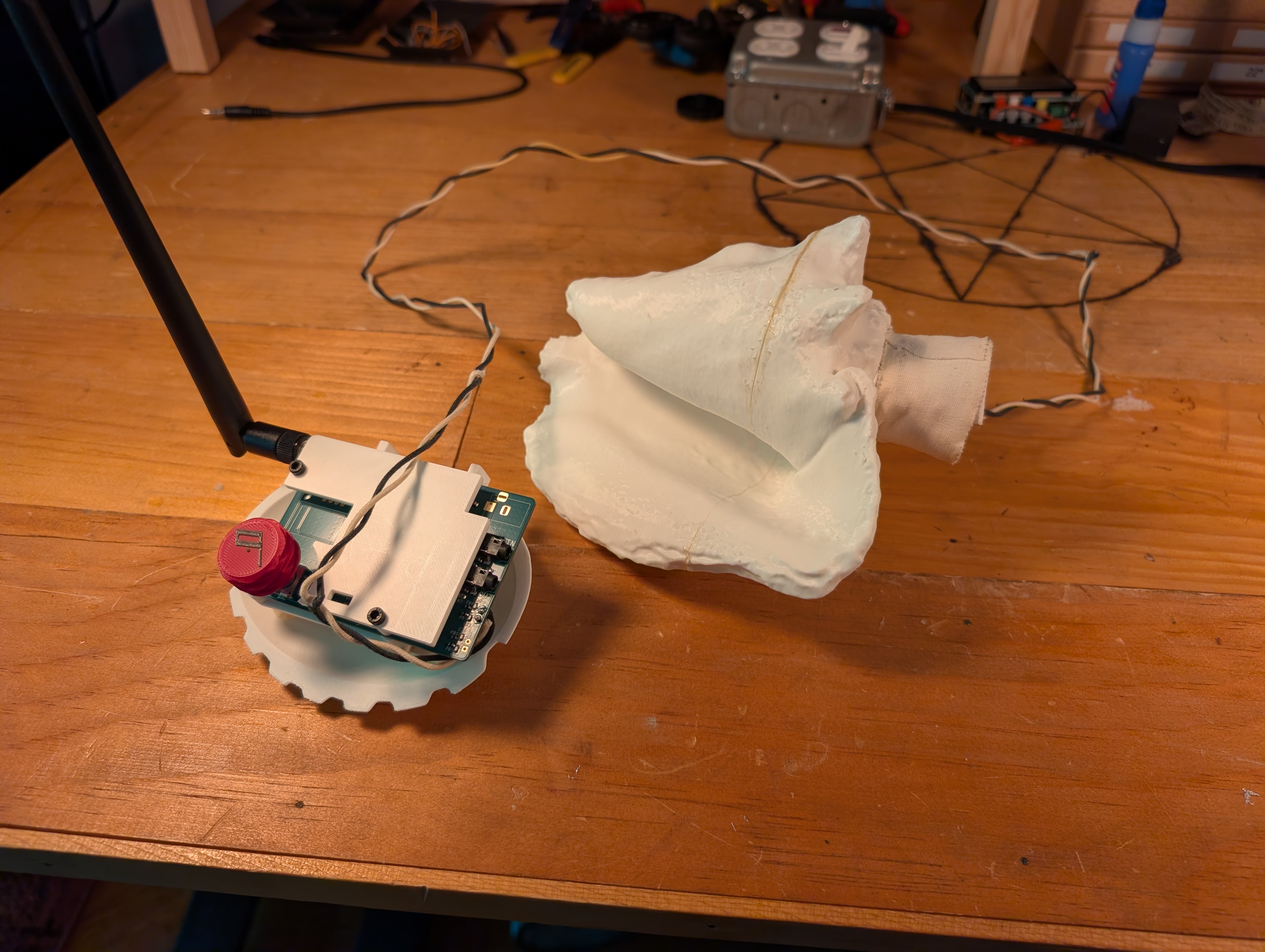 a conch shell connected by twisted wires to a radio PCB
